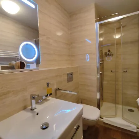 Anenský C303 S Wellness , O2 Tv A Stabilní Rychlou Wifi, S Možností Dokoupení Bufetových Snídaní A S Možností Dokoupení Masáží Apartmán Harrachov