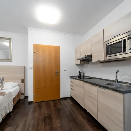 Apartmán Anenský C303 S Wellness , O2 Tv A Stabilní Rychlou Wifi, S Možností Dokoupení Bufetových Snídaní A S Možností Dokoupení Masáží Harrachov