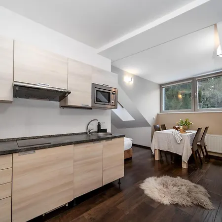 Anenský C303 S Wellness , O2 Tv A Stabilní Rychlou Wifi, S Možností Dokoupení Bufetových Snídaní A S Možností Dokoupení Masáží Apartmán