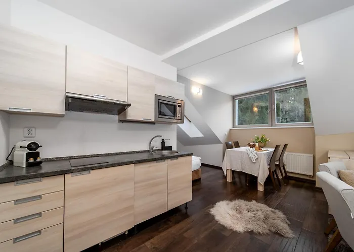 Anensky C303 S Wellness , O2 Tv A Stabilni Rychlou Wifi, S Moznosti Dokoupeni Bufetovych Snidani A S Moznosti Dokoupeni Masazi Appartement